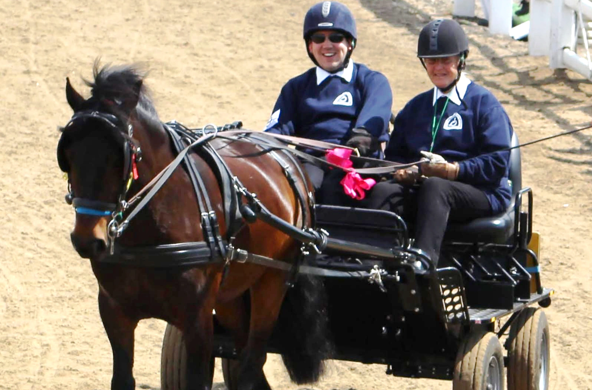 RDA Carriage Driving at Clwyd Special Riding Centre