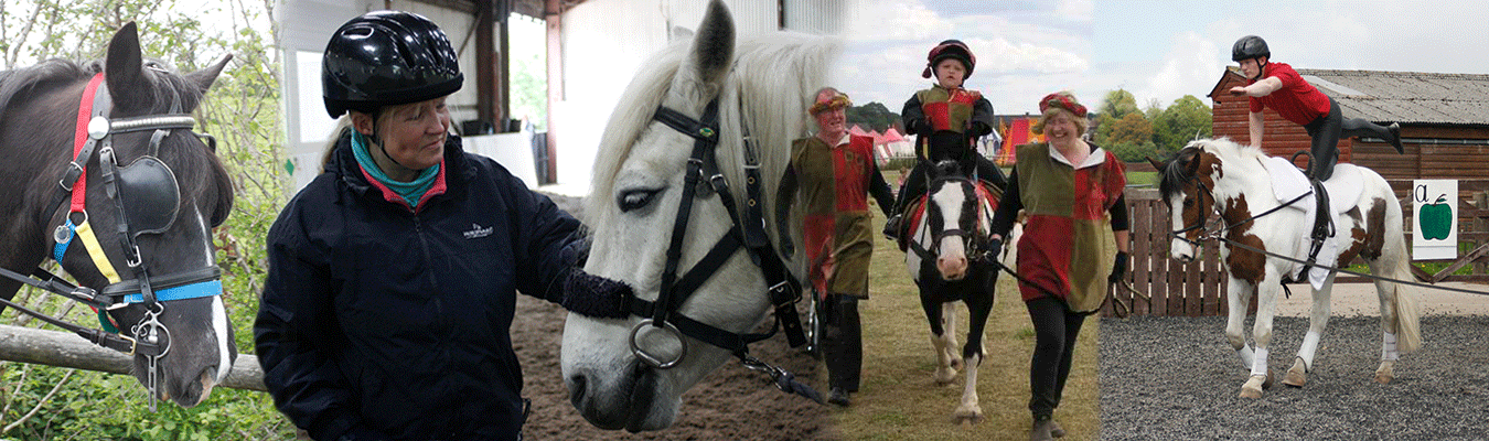 Images showing various activities at Clwyd Special Riding centre